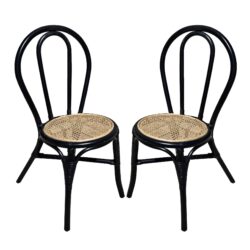 Rattan Dining Chair (Set of 2) - Black Multi