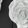Rose Hanging Wall Accents (Set of 2) - White - Image 7