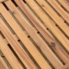 Ariana - Wood Chaise Lounge - Teak - Image 5