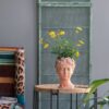 D7X11" Visage Head Bust Planter - Brown - Image 10
