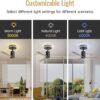 Modern Flush Mount Ceiling Fan With Led Light And Remote Control, 3 ABS Blades Noiseless Reversible Dc Motor For Patio Living Room - Matte Black - Image 3