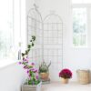 2 Pack Metal Garden Rustproof Trellis For Climbing Plants Outdoor Flower Support - Cream White - Image 11