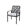 Outdoor Patio Stationary Dining Chairs With Outdoor Grade Sunbrella Cushions, Branch Like Backrest (Set of 2) - Bourbon Brown - Image 10