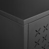 Gjg Hua - Shoe Cabinet With Ergonomic Steel Handle And Breathable Butterfly Door - Black - Image 15