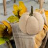 Weighted Pumpkin Ornament Decor For Holiday Harvest Festival Fall Festival & Thanksgiving (Set of 2) - Beige Multi - Image 2