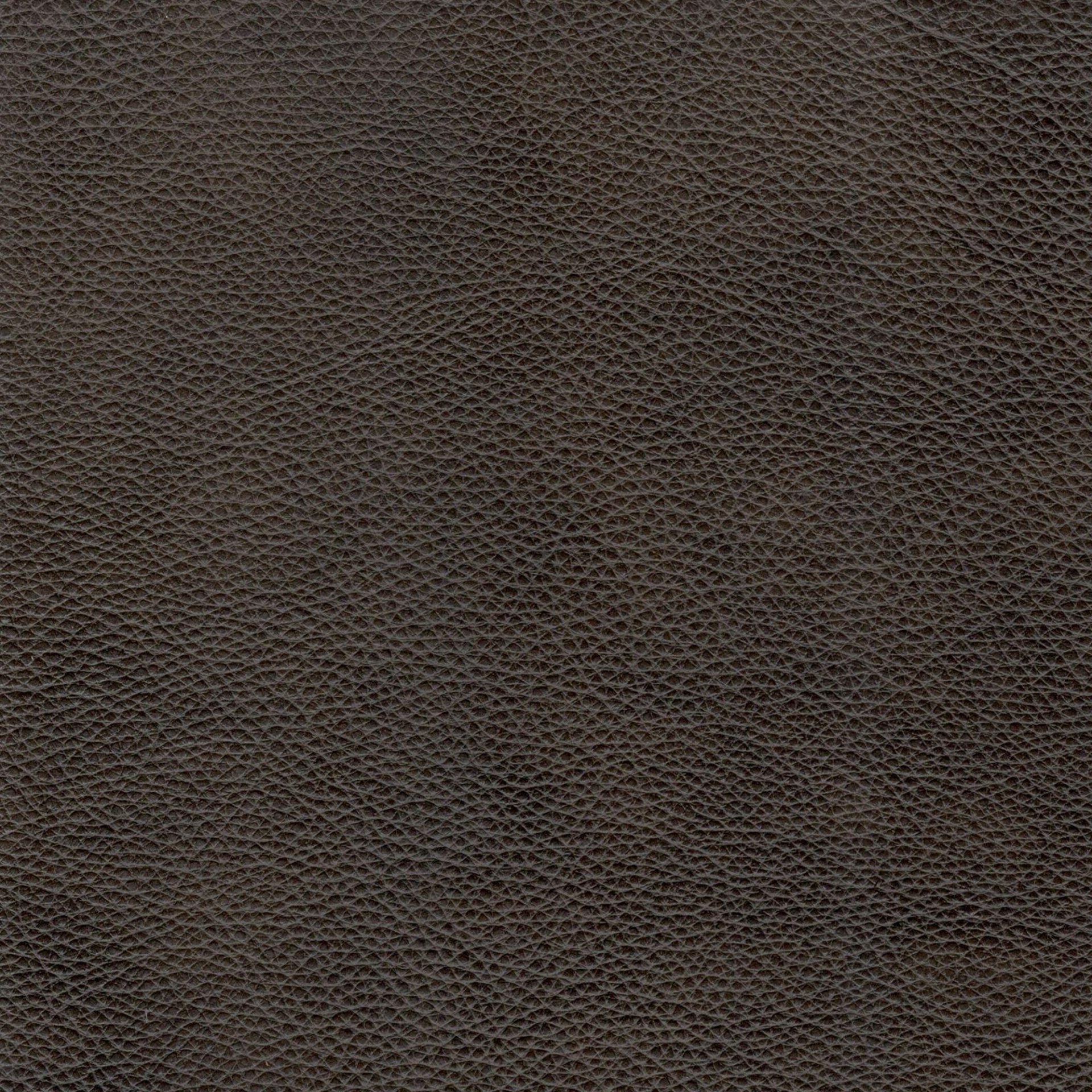 Mid-Century Tufted Leather Sofa - Espresso - Image 5