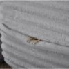 Floor Sofa With 2 Pillows, Convertible Plush Corduroy Foam Filled Sleeper Sofa Bed - Light Gray - Image 11