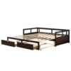 Daybed With Trundle And Two Storage Drawers, Sofa Bed For Bedroom Living Room - Espresso - Image 4