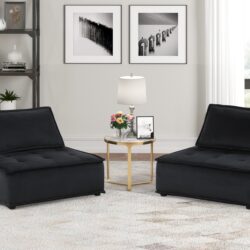 Anna - Velvet Armless Lounge Chair (Set of 2) - Black