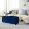 Avalon - Storage Ottoman - Blue - Image 10