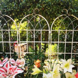 4 Pack Metal Garden Rustproof Trellis For Climbing Plants Outdoor Flower Support - Cream White