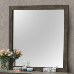 Chic Transitional Wall Mirror - Gray