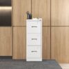 Metal Vertical File Cabinet With Lock And Card Slot For A4 Legal / Letter Size, Durable Steel, 3 Drawers - White - Image 12