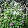 4 Pack Metal Garden Rustproof Trellis For Climbing Plants Outdoor Flower Support - Cream White - Image 13