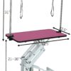 Hydraulic Pet Grooming Table With"H" Arm - Pink - Image 2