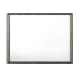 Jehoram - Mirror - Gray