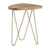 Patrice - Wood Accent Table - Natural / Gold - Image 2