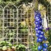2 Pack Metal Garden Trellis Rustproof For Climbing Plant Outdoor Flower Support - Cream White - Image 4