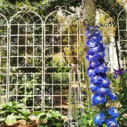 4 Pack Metal Garden Trellis Rustproof For Climbing Plants Outdoor Flower Support - Cream White