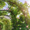 Metal Garden Arch With Gate High Climbing Plants Support Rose Arch Outdoor - Black - Image 3