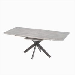 Elegant Extendable Dining Table Set With C Shaped Tube Chairs - Gray