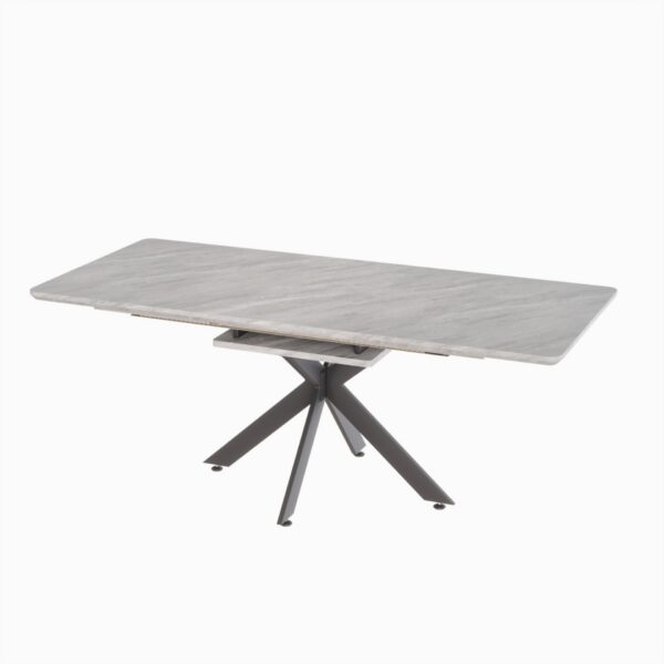 Elegant Extendable Dining Table Set With C Shaped Tube Chairs - Gray