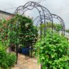 Metal Garden Arch Assemble Freely With 8 Styles Garden Arbor Trellis Climbing Plants Support Rose Arch - Black - Image 4