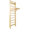 Swedish Ladder, Stall Bars Set For Physical Therapy & Gymnastics - Natural - Image 5