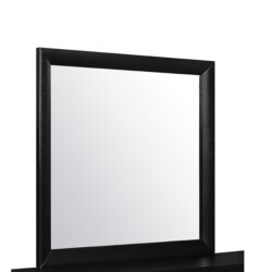 Lucille - Mirror With Sleek Frame And Glass - Black