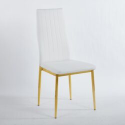 Dining Chair Design For Kitchen (Set of 4) - Golden / White