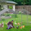 Outdoor Chicken Coop Large Space For Farm Use - Silver Gray - Image 2