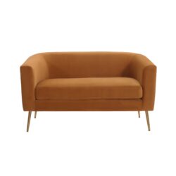 Modern Design Style Loveseat - Natural
