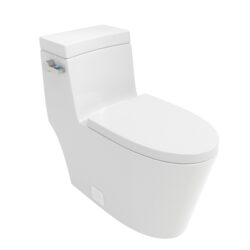 1 Piece Toilet And Soft Closing Seat - White