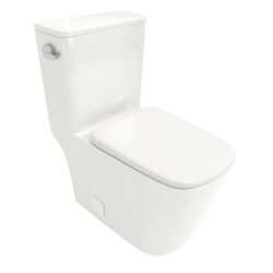 1 Piece Toilet With Single Flush And Soft Closing Seat - White