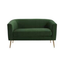 Modern Design Style Loveseat - Retro Green