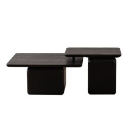 Square Coffee Table Set (Set of 2) - Black