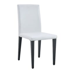 Dining Chairs With Ergonomic Backrest, Stylish & Comfortable For Dining Room (Set of 2) - White / Black