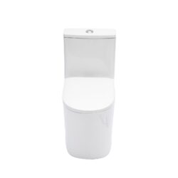 1 Piece Toilet For Bathroom, Soft Closing Seat, Dual Flush 1.1 / 1.6 Gpf - White