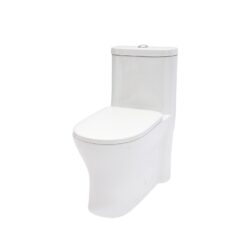 1 Piece Toilet For Bathroom, Dual Flush 1.22/1.6 Gpf, Soft Closing Seat - White