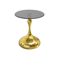 Elegant Small Round Side Table With Tempered Glass Top For Living Room - Gold