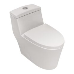 1 Piece Toilet, Dual Flush, Soft Closing Seat - White